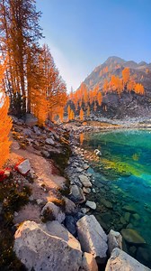 The perfect autumn hike in Washington State 🍁 This was easily one of the best fall season views I’ve seen. With peak autumn colors it doesn’t get any better 👌🏼 It should look like this within in the next few days in the state of Washington! The combination of reds, yellow, oranges, and the vibrant blue water made this one of my favorites. 📍 North Cascades National Park #washingtonstate #pnw #northcascades #autumn #fall #october #cascademountains #northcascades #pacificnorthwest #hiking | Rya