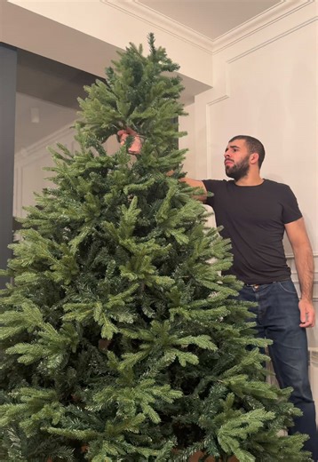 My favorite time of the year🩵🎄