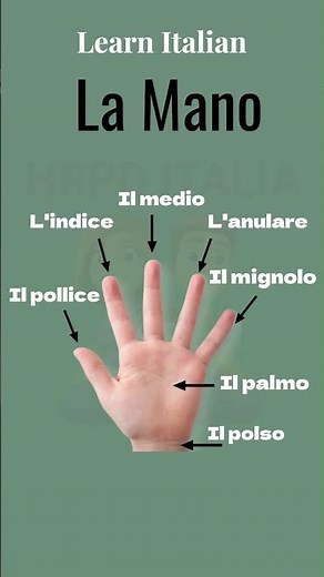 Easy way to learn Italian Language | Italian lesson For beginners | How to pronounce italian words