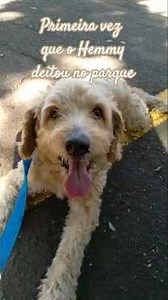 Relaxing in the park 🐕🐕 #onlygoodtips #pathwaytoabetterlife