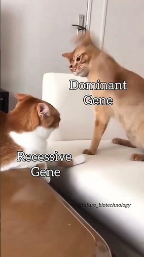 Dominant and recessive gene expression