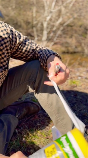 Piece Of Survival Kit That No One Packs But Should! #survival #survivalgear