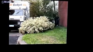 I got over 6,000 reactions on my posts last week! Thanks everyone for your support! 🎉 #PRISONER #PrisonerCellBlockH | Prisoner Cell Block H Pictures