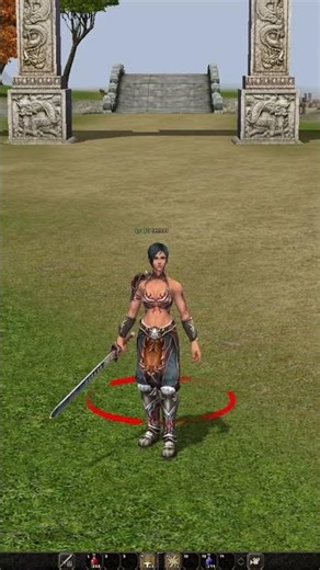 Metin2 Pserver Problem