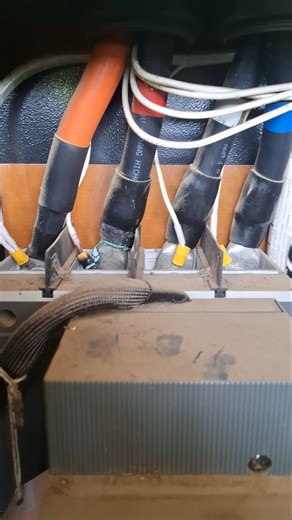 DSE8610 MKII Gen Under Voltage Shutdown.