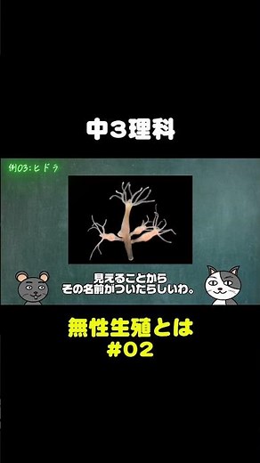 【中3理科】無性生殖#02