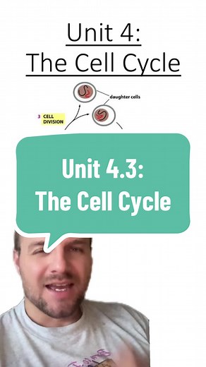 Understanding the Cell Cycle in Biology