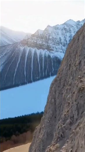 Mountain Goats POV: Relax and Watch | #chill #asmr #goat #satisfying