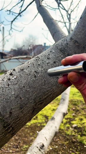 Get Ready for Summer with These Gardening Hacks | Crafty Panda