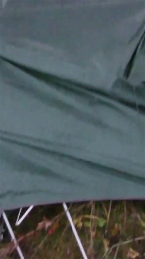 Billy Molls | An Alaska hunting guide’s nightmare!!! #hunting #alaska #alaskaadventure #brownbear | Instagram