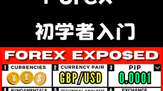 2. Forex Trading For Beginners (FREE FULL COURSE)