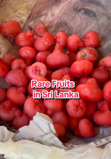 Exploring Rare Fruits in Sri Lanka