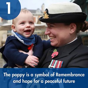 Think wearing a poppy is pro-war? Think again. This #PoppyAppeal we're setting the record straight. Here are 11 things you might not know about the poppy. ➡️ https://www.britishlegion.org.uk/community/stories/remembrance/11-things-you-might-not-know-about-the-poppy | Royal British Legion