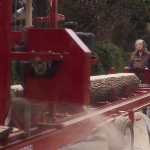 Spend the day with Martha and learn how hard work, evolution, and lifelong learning are the recipe for sustained success. | MasterClass