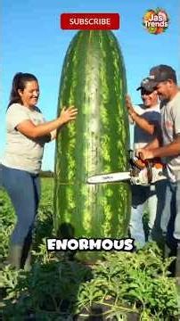 Top 5 Biggest Fruits on Earth That Will Blow Your Mind! #fruit #fruitlovers