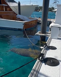 Paul Dabill Photography on Reels