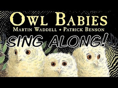 OWL BABIES 🎶Story Song🎶, lyrics on screen, early years, KS1, pre-school, night, nocturnal animals