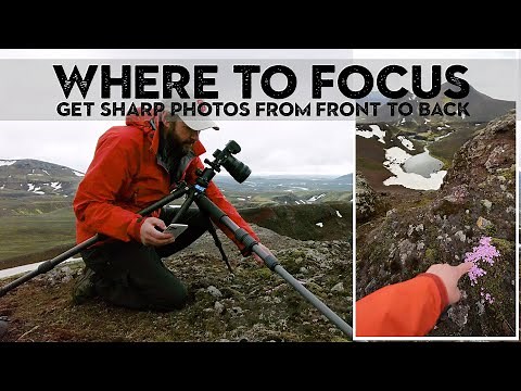 How I get PIN SHARP PHOTOS from front to back