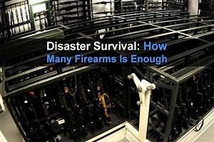 Disaster Survival: How Many Firearms Is Enough?