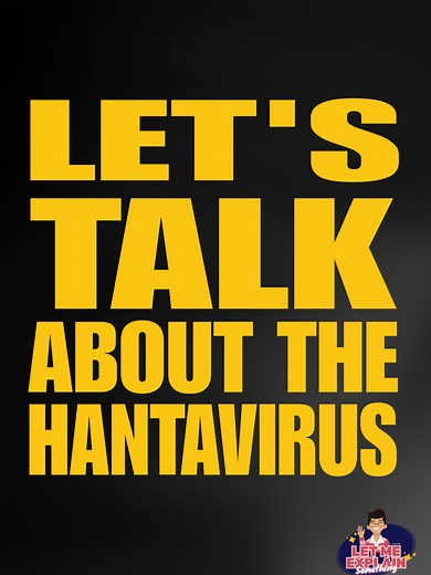 Here's everything you need to know about the Hantavirus! #LetMeExplainSomething #LearnItOnTiktok #EduWow #STEMTok