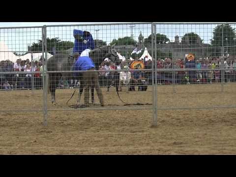 Monty Roberts RDS Saturday 10 August 2010 Full Session