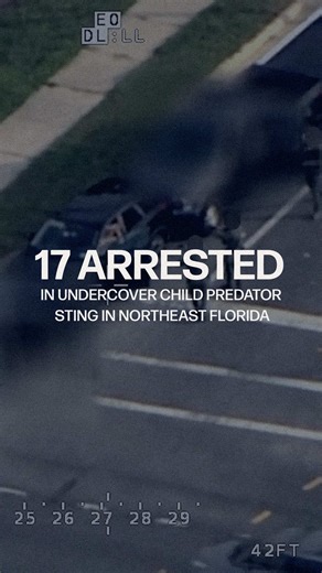 Undercover Child Predator Sting: 17 Arrested
