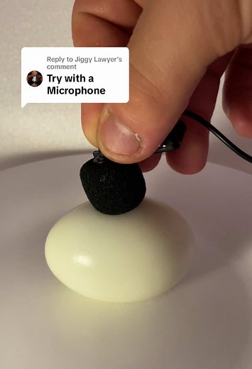 Replying to @Jiggy Lawyer Will the egg survive the microphone? \t#egg #viralvideo