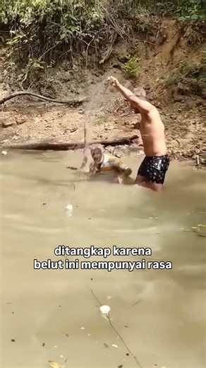 Amazon electric eel #amazing #animals