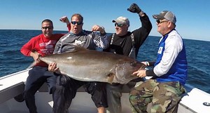 Huge Amberjack Breaks Another Louisiana State Record!