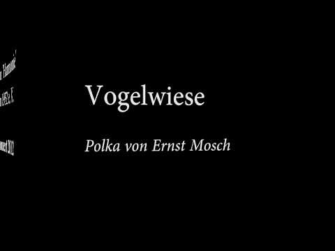 Auf der Vogelwiese - Musikverein Söllingen (Mit Liedtext)