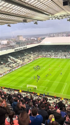 Newcastle vs Everton Match Highlights