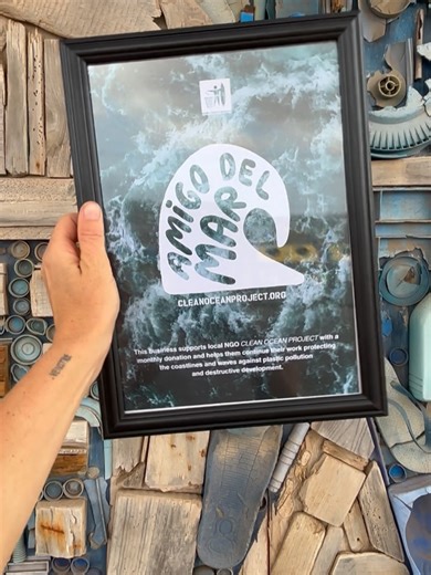 Clean Ocean Project on Reels | Facebook