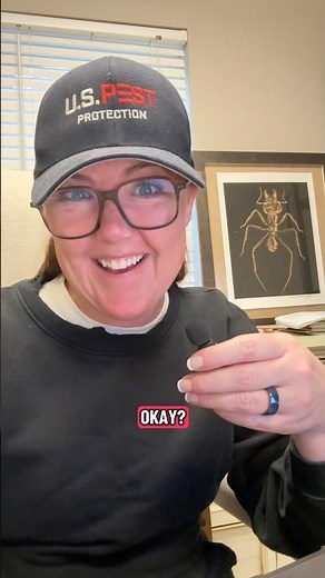 Here’s the truth about bug bombs…