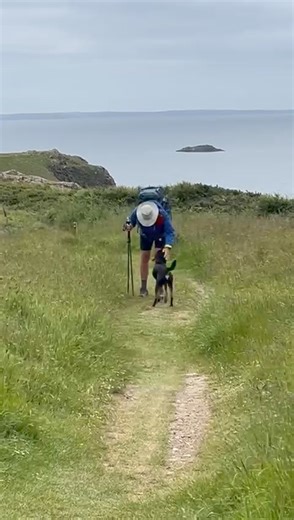 5.6K views · 24 reactions | Peter Walker is doing the Pembrokeshire Coast Path Challenge and walking 186 miles. Fundraising for THE CHRISTIE CHARITY. He will be keeping us updated along the way! Here's an update! Megan decided to accompany Peter to Caerfai today. Donate: https://www.justgiving.com/fundraising/Peter-Walker61... | Pure West Radio | Facebook