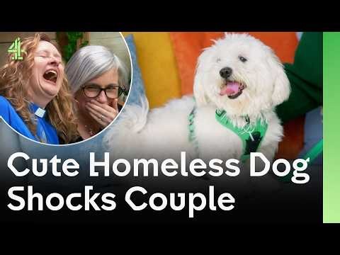 Cute Homeless Dog Shocks Couple | The Dog House 🐶