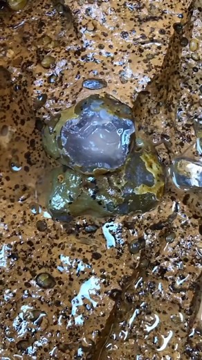 Gem in the stone #jewelry #mine #diamond #diy #gems | Gems