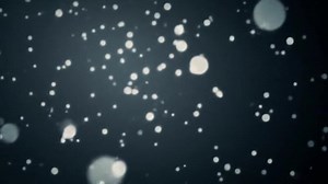 Download White Particles Floating on a Dark Background for free