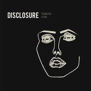 Disclosure - Tenderly / Flow