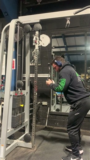 Reverse Grip Pushdowns with single handles