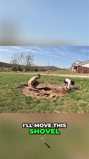 Planting Trees Perfectly: Expose That Root Flare! #shorts