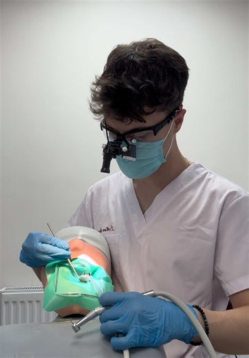 Understanding Endodontics in Dentistry