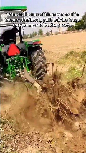 Tractor Uproots Tree Stump.