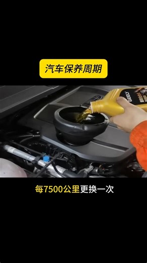 有车以后必知养车知识｜新手入门到精通#每天一个用车知识 #养车知识 #用车技巧 #汽车保养 #新手车主 #汽车知识 #用车常识 #汽车养护 #老司机经