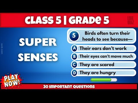 Class 5 Science Quiz – Super Senses | Grade 5 CBSE NCERT EVS Chapter 1 | Olympiad Practice Questions