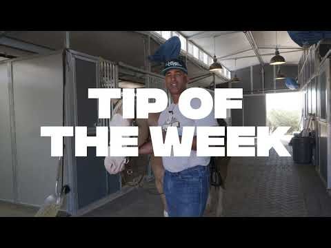 Tip for Rein Length in the Show Pen | Improve Your Reining Scores 🔥