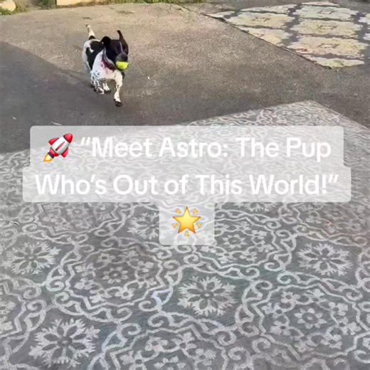 2K views · 50 reactions | If you haven't met Astro yet~ you are...