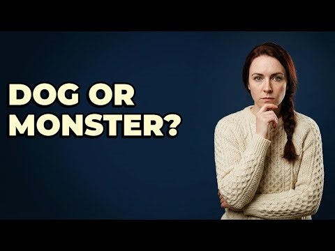 Did The Original Chupacabra Look Like A Dog?