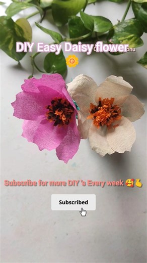 DIY Easy Tissue Paper Daisy Flower 🌼|| সহজেই টিস্যু পেপার দিয়ে ডেইজি ফুল তৈরী#flowers