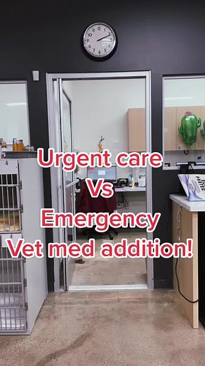 Urgent care vs emergancy vet med addition! #vetmed #veterinarian #vettech #dog #cat #fyp #veterinaryhospital #vettechlife
