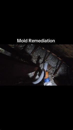 Effective Attic Mold Remediation Tips